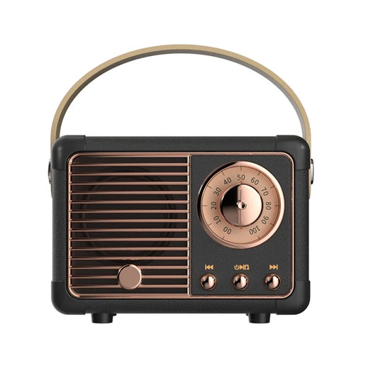 Enceinte Bluetooth Portable