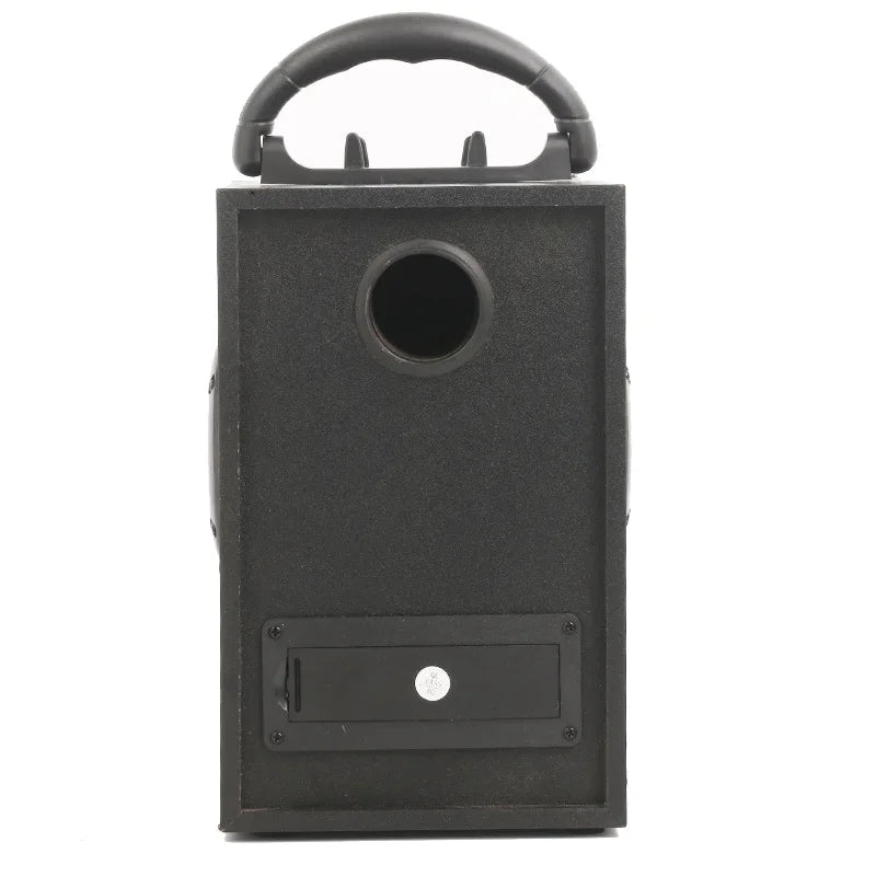 Enceinte Portable