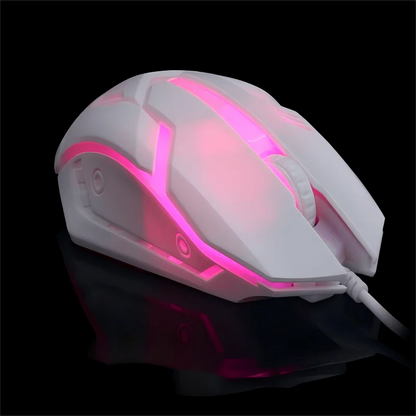 Souris Gaming Filaire