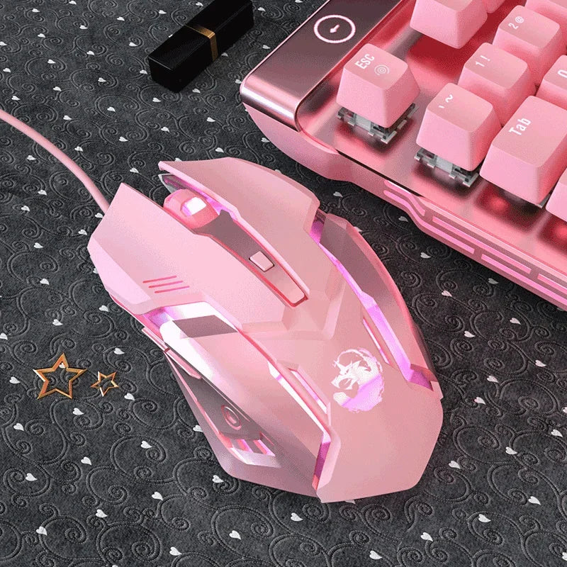 Souris Sans Fil Double Mode