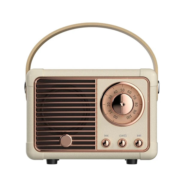 Enceinte Bluetooth Portable