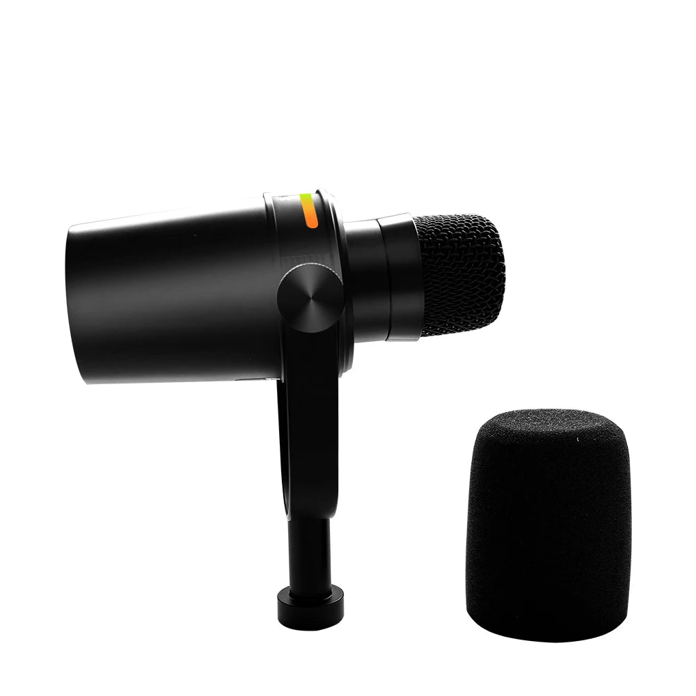 Microphone de Studio